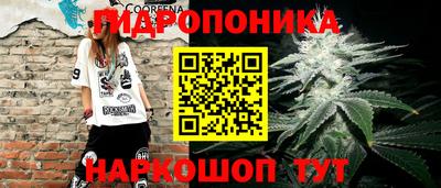 ГАЛЛЮЦИНОГЕННЫЕ ГРИБЫ Беслан