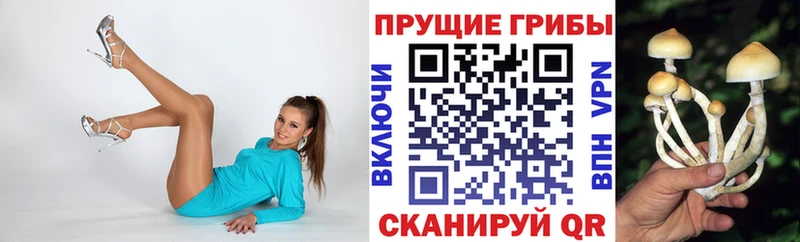 продажа наркотиков  Стерлитамак  Галлюциногенные грибы мухоморы 