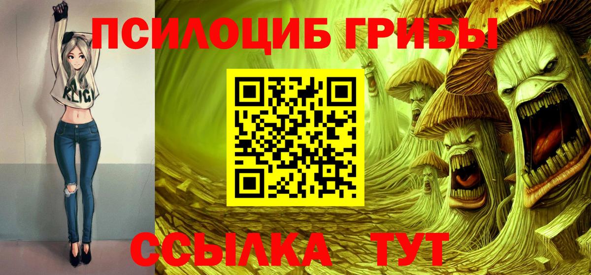 Галлюциногенные грибы мицелий Стерлитамак