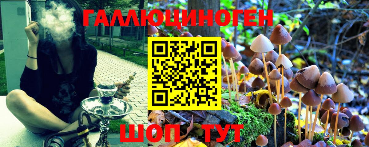 Галлюциногенные грибы мицелий  Вход с VPN  Галлюциногенные грибы Psilocybine cubensis  Стерлитамак 
